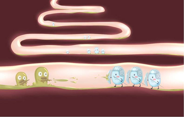 益生菌的故事——肠道益生菌的作用